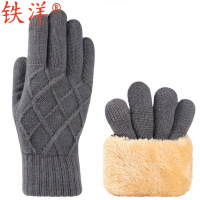 铁洋 可触屏冬季保暖手套 棉手套 TY-A65 双