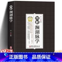 [正版]图解濒湖脉学 国华著 中医脉学专著中的一部名著集明以前脉学研究之大成归纳27种脉象贬称歌诀中医启蒙 中医古籍出