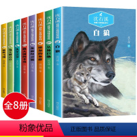 沈石溪动物小说全8册 [正版]沈石溪动物小说全集全套8册 沈石溪的书全系列 小学生三五六年级读课外书籍 适合5年级阅读的