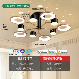 雷士照明星空灯现代简约吸顶灯奶油风客厅吊灯主灯中山灯具
