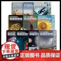 写给孩子的趣味科普百科全书全10册小学生6-12岁科普类课外阅读儿童百科全书哺昆虫宇宙人体地球哺乳动物科学自然生活鸟类植