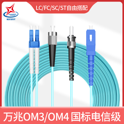 辉宏时代LC-LC多模万兆双芯OM3光纤跳线电信级LCFCSCST电信级数据中心级跳线3米