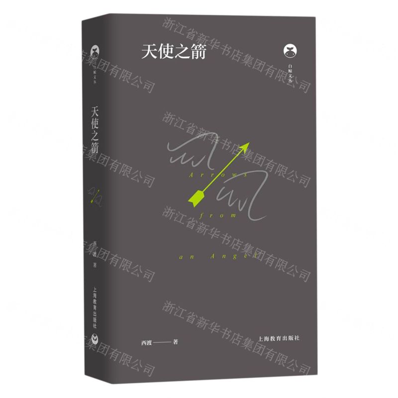 [N]天使之箭(精)/白鲸文丛-9787544494533