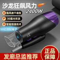 电吹风机学生宿舍家用发廊蓝光负离子护发风筒不伤发飓风速干
