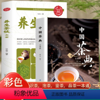 [正版]全2册 中国茶典+养生茶饮大全从喝茶到懂茶中国茶道茶经茶艺从入门到精通中国茶文化茶配方泡饮大全入门600幅精美