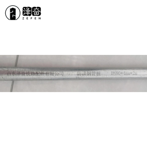 泽奋 防洪钢管桩 DN80*4mm*2m 根