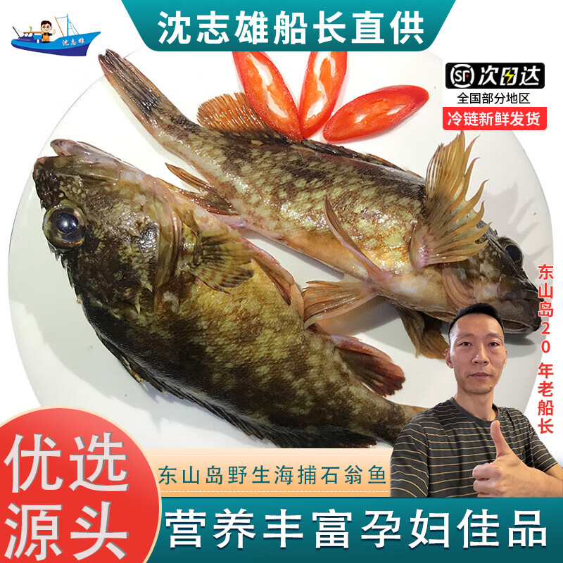 沈志雄船长 东山岛海鲜海钓石翁鱼小红斑8-14条/斤 共2斤