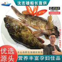 沈志雄船长 东山岛海鲜海钓石翁鱼小红斑8-14条/斤 共2斤