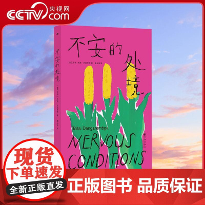 [央视网]不去的处境 非洲女性主义里程碑 津巴布韦女性英文小说 直击殖民与父权双重枷锁下的教育 身体与觉醒之痛HL