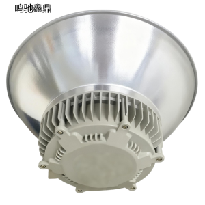 鸣驰鑫鼎 大灯 SLD 个