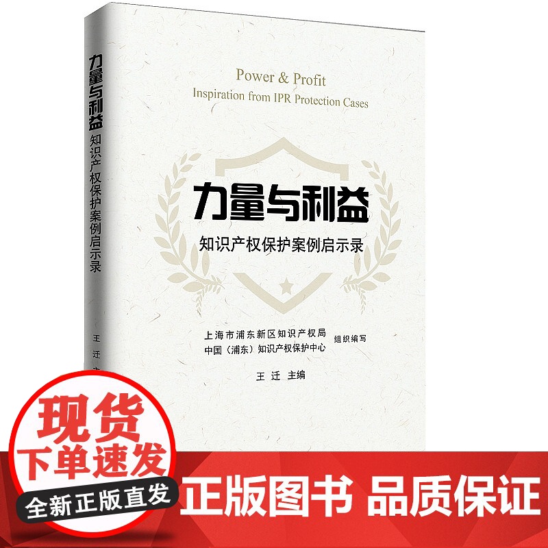 正版 力量与利益 知识产权保护案例启示录 王迁 著 知识产权出版社 9787513065498