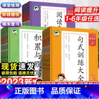 语文·阅读真题60篇 五年级下 [正版]2023秋53小学语文句式训练大全组词造句写句子专项训练一年级二年级三四五六年级