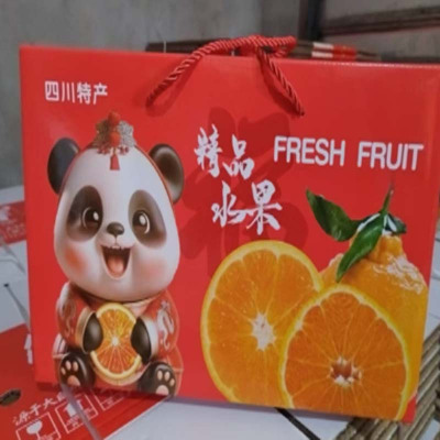 橙旺林 清家脐橙5KG*1箱