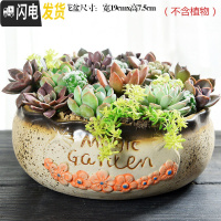 三维工匠大口径拼盘多肉花盆大号创意个性陶瓷简约粗陶多肉植物小花盆 拼盘-MG花(带孔) 大花盆容器