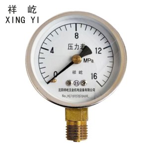 祥屹 压力表检测定制型 Y40 块