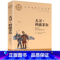 大卫科波菲尔 [正版]名著任选初中生世界名着全套原着书籍小说经典儿童文假如给我三天光明昆虫记爱的教育海底两万里简爱中小学