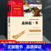 森林报冬 [正版]森林报春夏秋冬全四册 四年级下册必读的课外书阅读经典书目小学生二三4五六上比安基著动物故事书书籍科普百