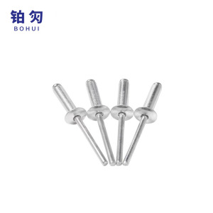 铂灳 抽芯铆钉 5*25mm 个