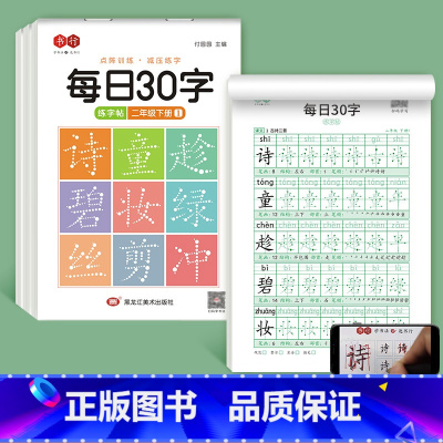 二年级下册3本 [正版]减压同步字帖每日30字一年级字帖上下册语文雷射同步练字帖二三年级人教版小学生每日一练钢笔临摹描红