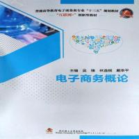 正版新书]电子商务概论吴臻 林逸棋 戴幸平9787562960775