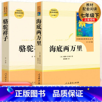 七年级下人教快乐读书吧 七年级/初中一年级 [正版]2023版新课堂同步训练语文七年级下册同步练习册人教版初一全套练习册
