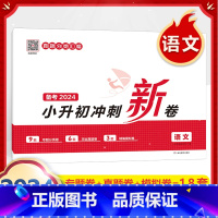 小升初冲刺新卷(语文) 小学通用 [正版]小学知识大盘点名校冲刺方案三四五六年级人教版语文数学英语小考总复习小升初考试重