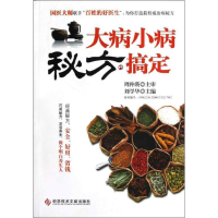 音像大病小病 秘方搞定刘学华 编