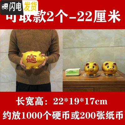三维工匠储蓄罐储钱罐小猪只进不出大容量大人用家用儿童不可取 22厘米[再送一只22厘米]可取钱