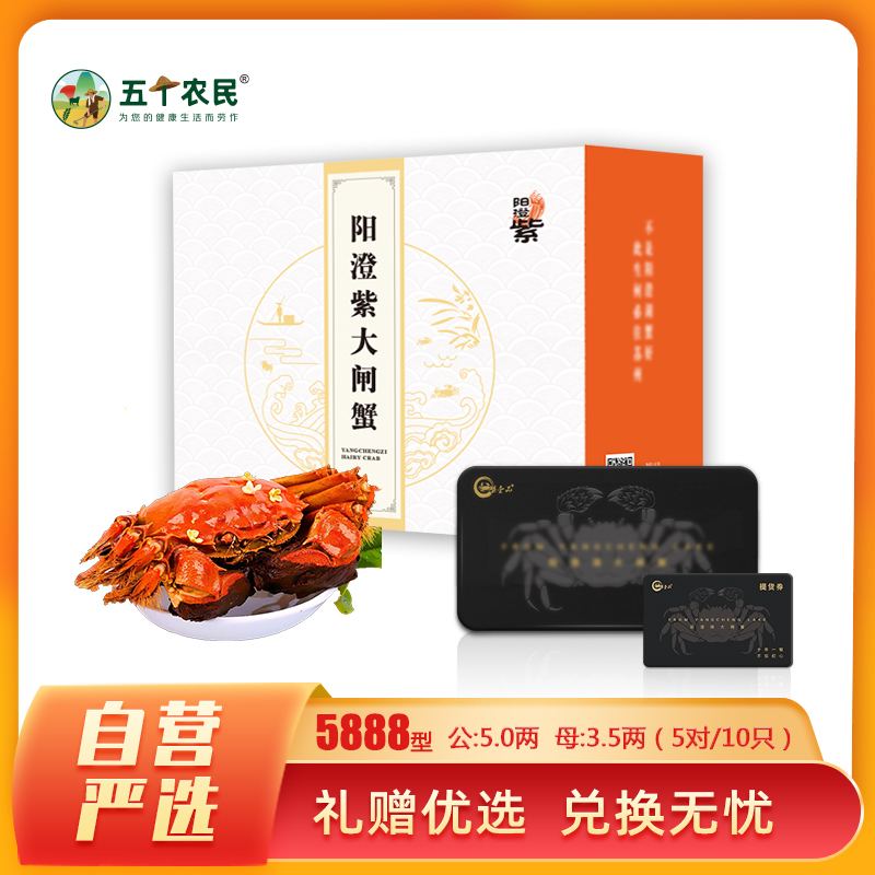[礼券]阳澄紫牌 苏州精品大闸蟹礼券5888型 公蟹5.0两/只 母蟹3.5两/只 5对10只 去绳净重螃蟹礼盒 礼卡