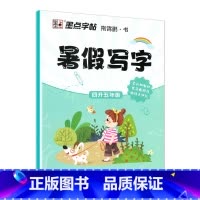 4升5年级 暑假写字作业 [正版]寒假写字作业天天练一二三四五六年级同步写字课人教版上下册预习复习强化巩固儿童小学生铅笔