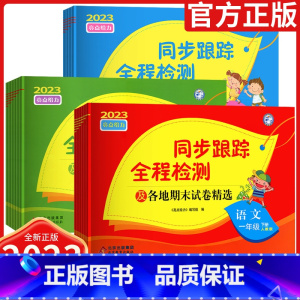 英语[译林牛津版] 六年级上 [正版]2024春亮点给力同步跟踪全程检测各地期末卷精选一二 三四 五六 年级上册下册语文