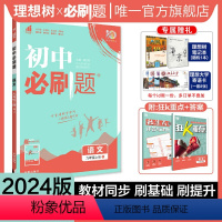 语文 九年级上 [正版]理想树2024新版初中必刷题九年级上册语文人教版初中同步练习九年级语文教辅资料配赠狂K重点随堂一