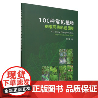 100种常见植物病毒病害彩色图鉴 9787109328549 杨彩霞 编 中国农业出版社