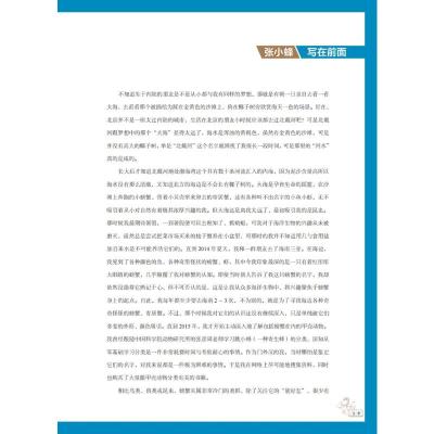中国潮间带螃蟹生态图鉴