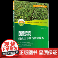 蔬菜病虫害诊断与防治技术 十字花科瓜类茄果类豆类四大部分40余种常见蔬菜病虫害的诊断与防治技术 高质量原色生态图谱