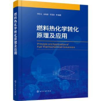 音像燃料热化学转化原理及应用邓文义,田凤国,苏亚欣等编著