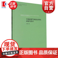 中美能源气候竞合研究经验与启示 王联合著上海人民出版社其他经济学理论