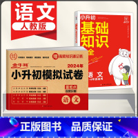 [2本]语文》基础知识大全+小升初试卷 小学升初中 [正版]2024新版小学基础知识大全语文数学英语小升初知识点大全人教