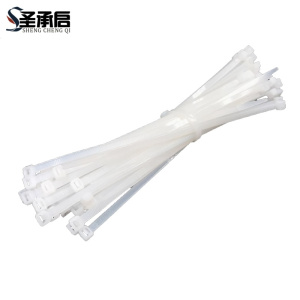 圣承启 塑料扎带 5*500mm根