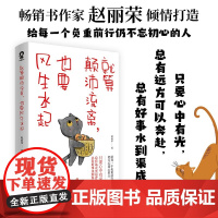 就算颠沛流离也要风生水起 热卖励志成长书籍自我和解自我实现 这世界很好但你也不差真希望你也喜欢自己 赵丽荣 著励志与成功