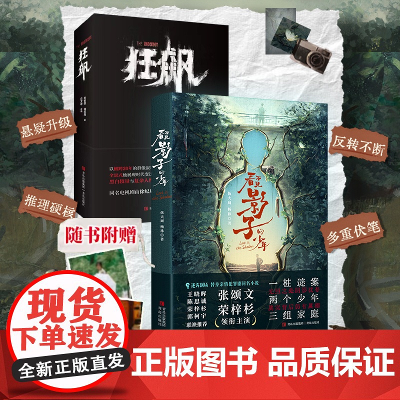 [赠印签明信片] 狂飙小说+看不见影子的少年 徐纪周导演 张译 张颂文 桐主演同名电视剧狂飙原著小说 正版书