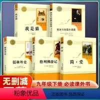 [全5本] 九年级下 [正版]九年级下册bi课外阅读名著 格列佛游记/简爱/我是猫/儒林外史/契诃夫短篇经典小说选集书籍