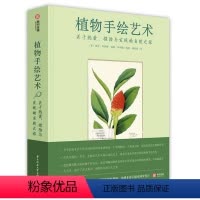 [正版]植物手绘 艺术关于热爱探险与发现的自然之旅 达芬奇 丢勒 达尔文 林奈艺术家手稿 手绘艺术图鉴 植物绘画科普书