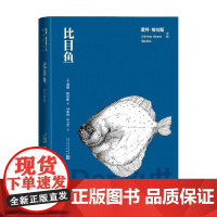 比目鱼 君特·格拉斯 著 小说