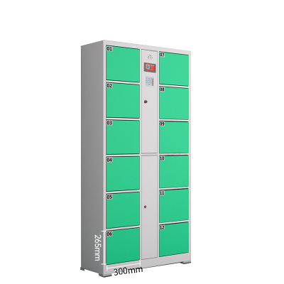 菲尔阿扎 PHIL ARZA 储物柜 存包柜12门/台