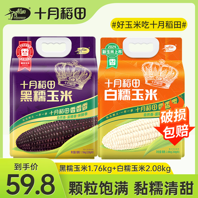十月稻田白糯玉米260g*8根+黑糯玉米220g*8根东北软糯甘甜大棒黑糯富含花青素清香