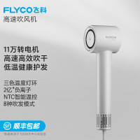 飞科(FLYCO)吹风机家用电吹风宿舍高速负离子大风力速干便携吹风筒送女友礼物 FH6351星空灰