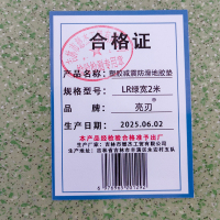 亮刃 塑胶减震防滑地胶垫 LR绿宽2米 米