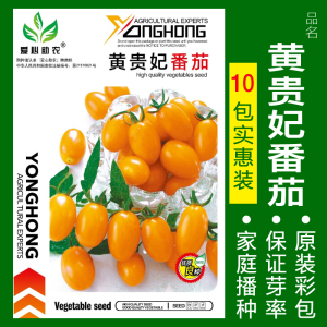 [补贴10%]瀑布小番茄种子千禧樱桃西红柿圣女果种籽苗四季播黄蔬菜种孑种植