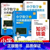 小学数学30天精通画图法 小学通用 [正版]2024版小学数学30天精通画图法全套一二三四五六年级上下册数学专项思维训练